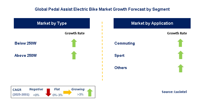 Pedal Assist Electric Bike Market by Segment