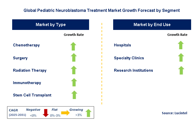 Pediatric Neuroblastoma Treatment Market by Segment