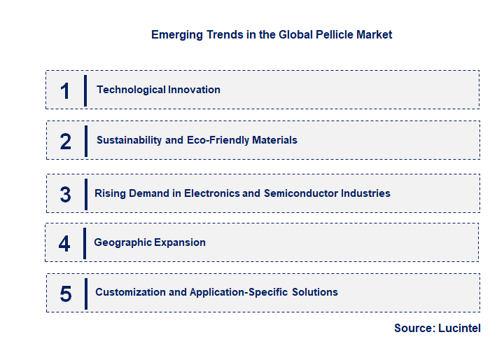 Emerging Trends in the Pellicle Market