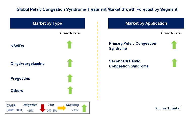 Pelvic Congestion Syndrome Treatment Market by Segment