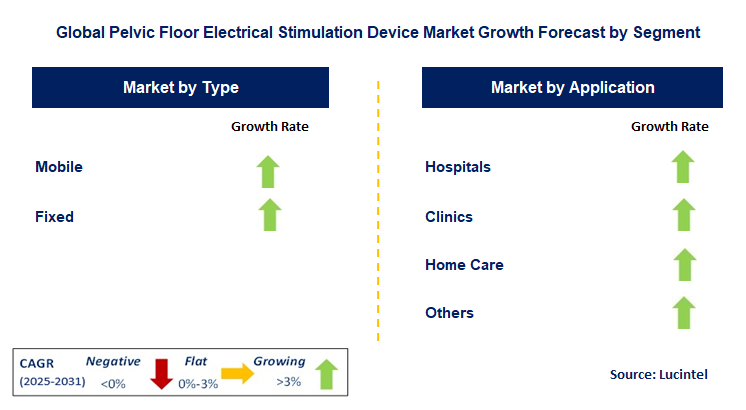 Pelvic Floor Electrical Stimulation Device Market by Segment