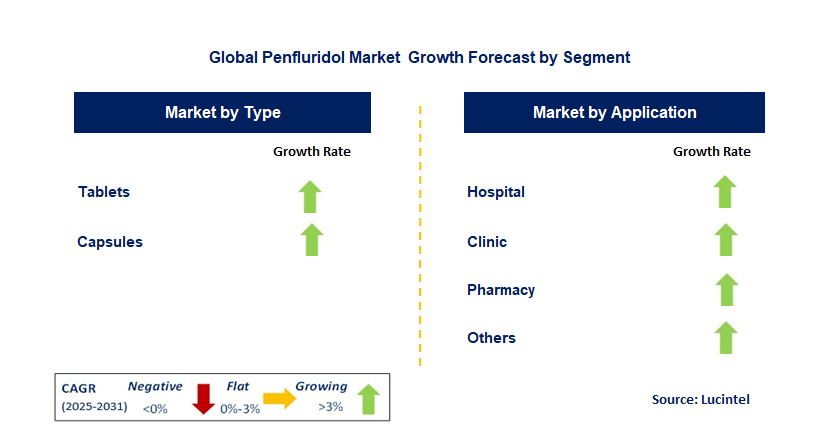 Penfluridol Market by Segment