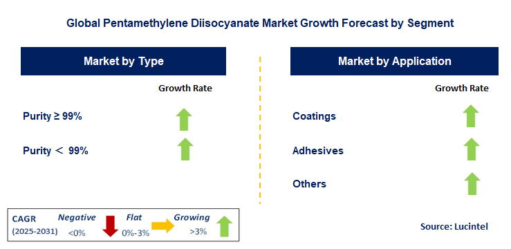 Pentamethylene Diisocyanate Market by Segment