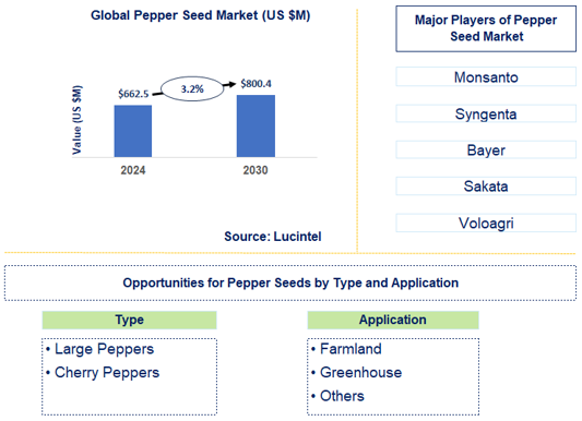 Pepper Seed Market Trends and Forecast