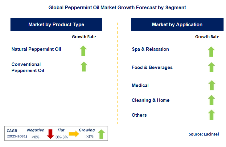 Peppermint Oil Market by Segment