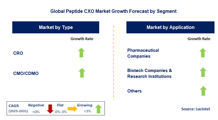 Peptide CXO Market by Segment