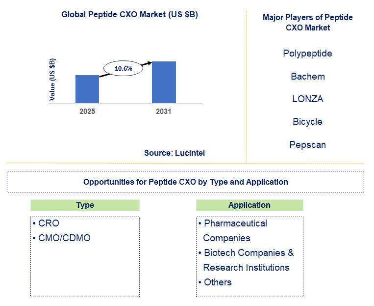 Peptide CXO Market Trends and Forecast