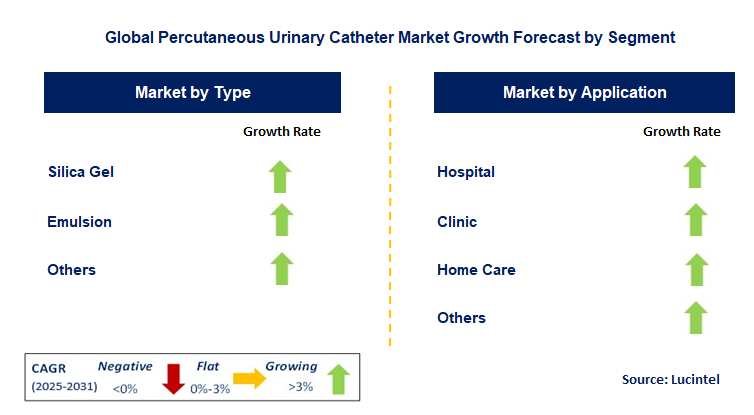 Percutaneous Urinary Catheter Market by Segment