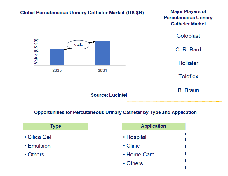 Percutaneous Urinary Catheter Market Trends and Forecast
