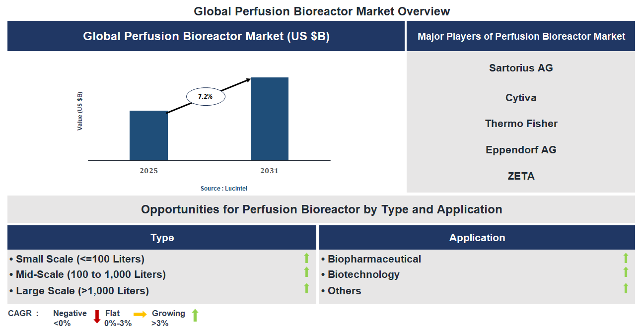 Perfusion Bioreactor Market Trends and Forecast