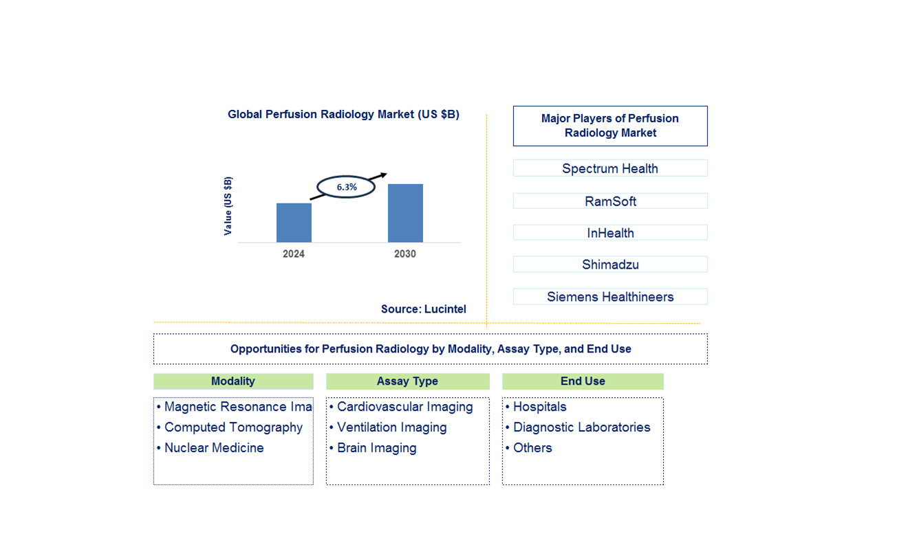 Perfusion Radiology Trends and Forecast