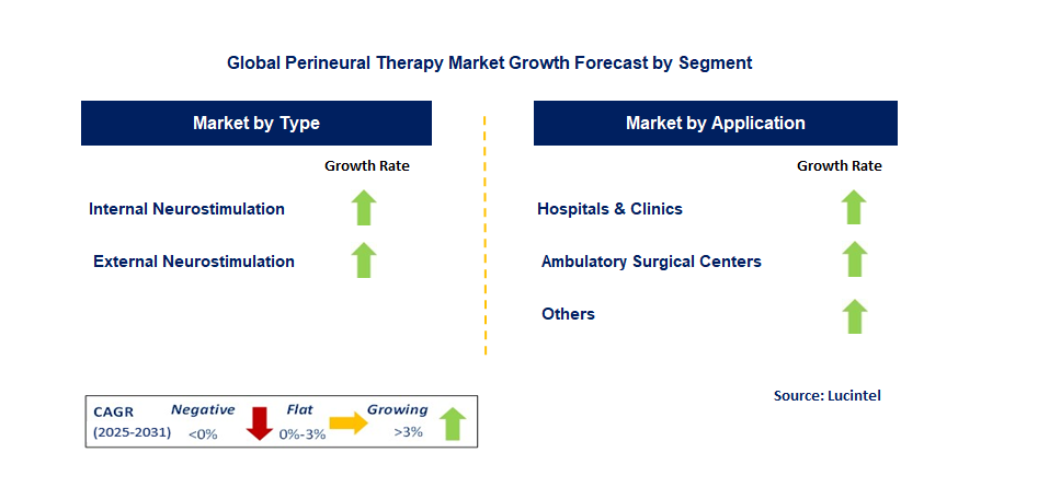 Perineural Therapy Market by Segment
