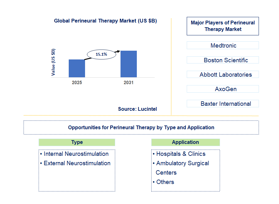 Perineural Therapy Market Trends and Forecast