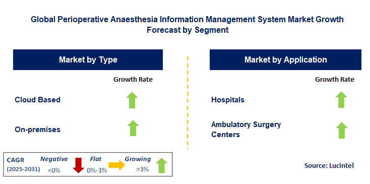 Perioperative Anaesthesia Information Management System Market by Segment