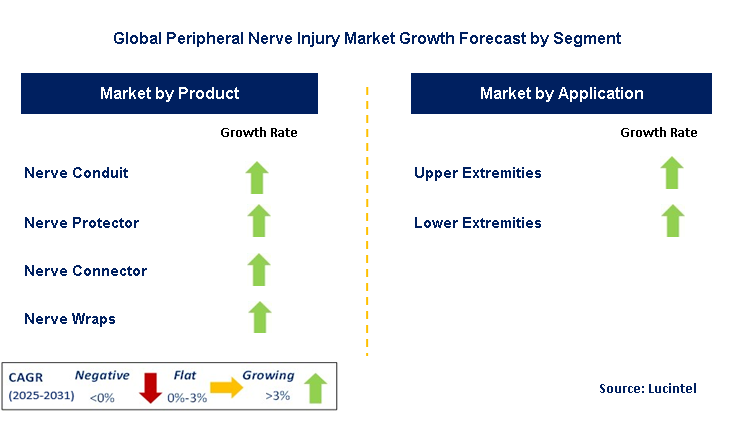 Peripheral Nerve Injury Market by Segment
