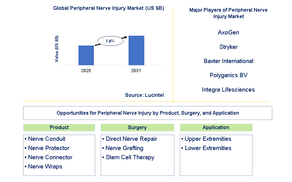 Peripheral Nerve Injury Market Trends and Forecast