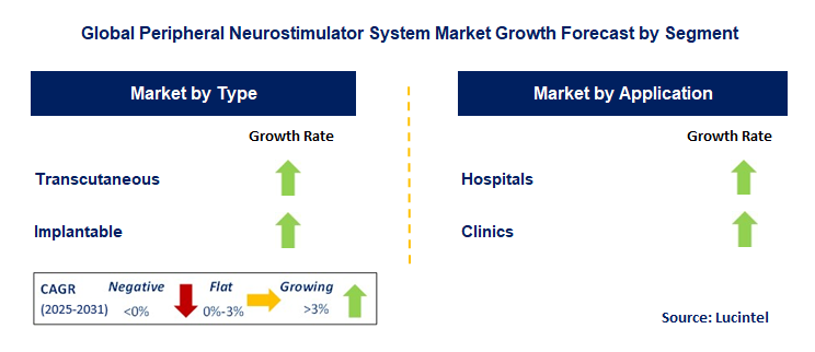 Peripheral Neurostimulator System Market by Segment