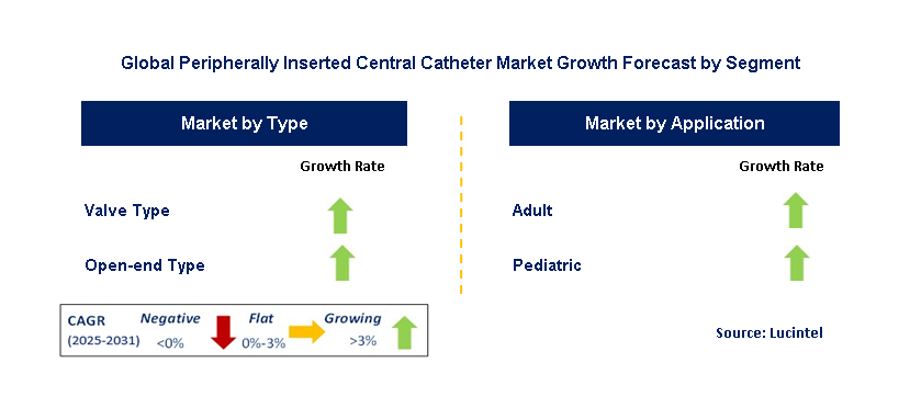 Peripherally Inserted Central Catheter Market by Segment