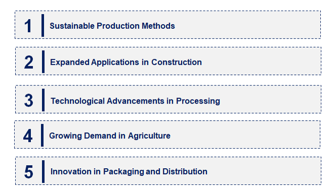 Emerging Trends in the Perlite Market