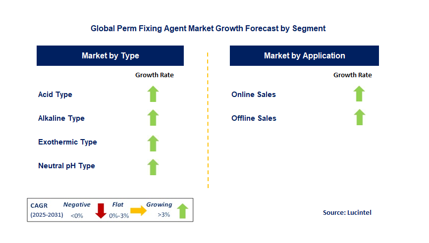 Perm Fixing Agent Market by Segment