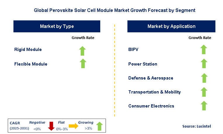 Perovskite Solar Cell Module Market by Segment