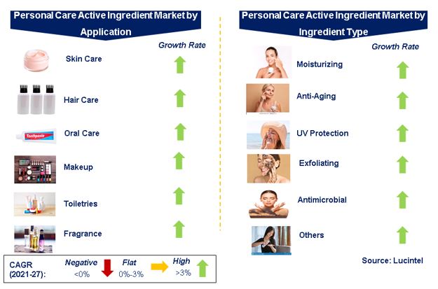 Personal Care Active Ingredient Market by Segments