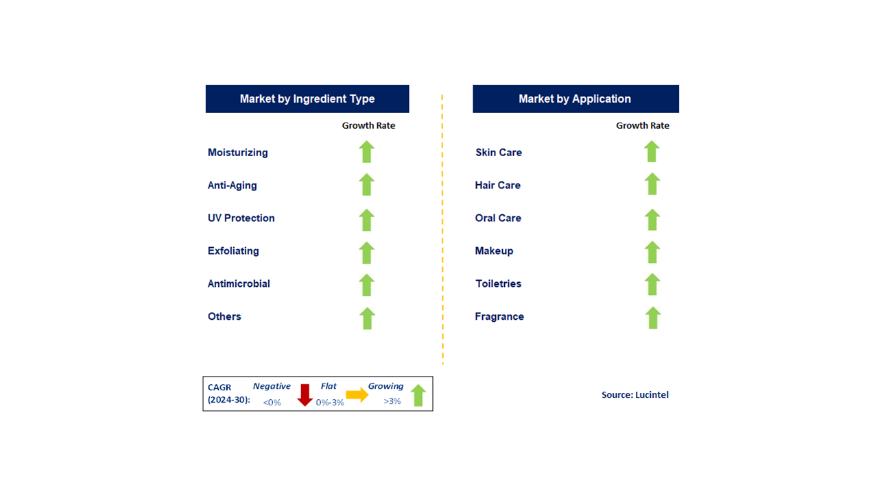 Personal Care Active Ingredient Market by Segments