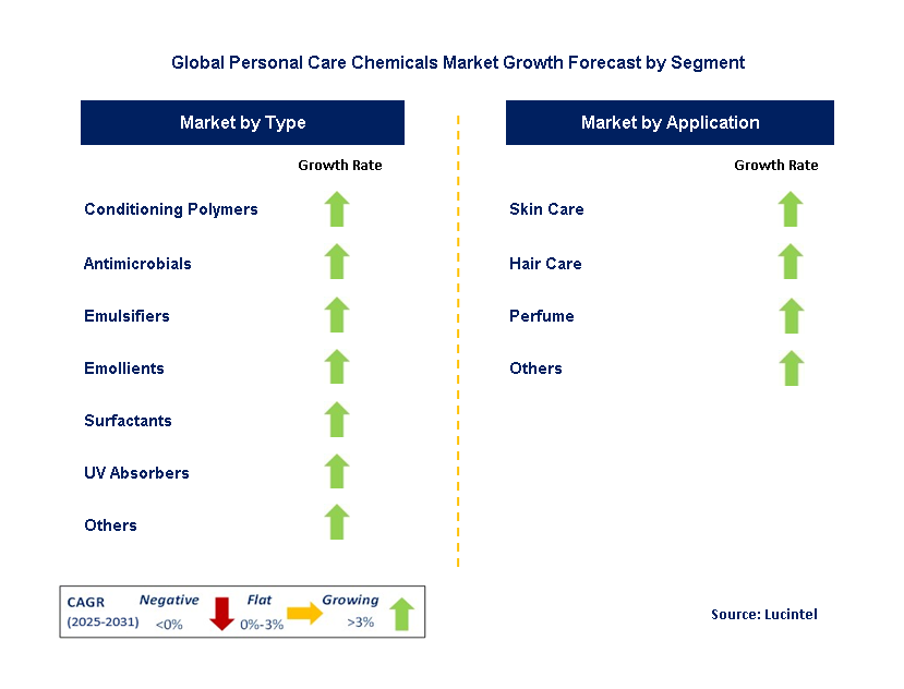 Personal Care Chemicals Market by Segment