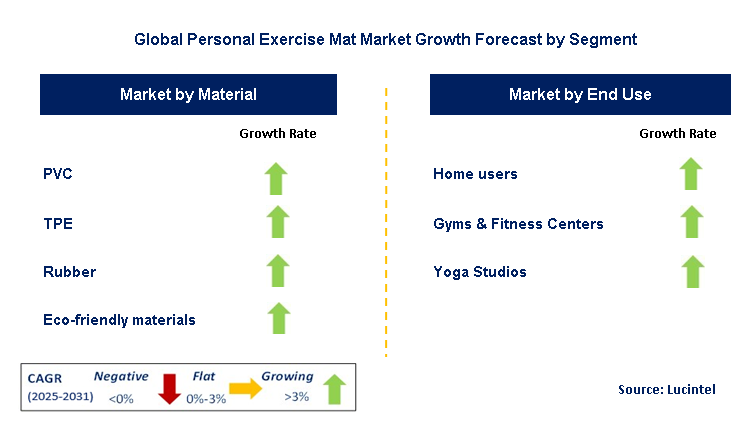 Personal Exercise Mat Market by Segment