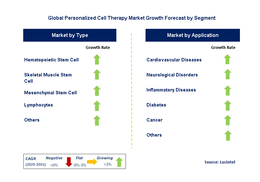 Personalized Cell Therapy Market by Segment