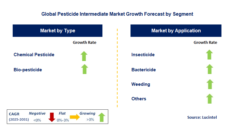 Pesticide Intermediate Market by Segment
