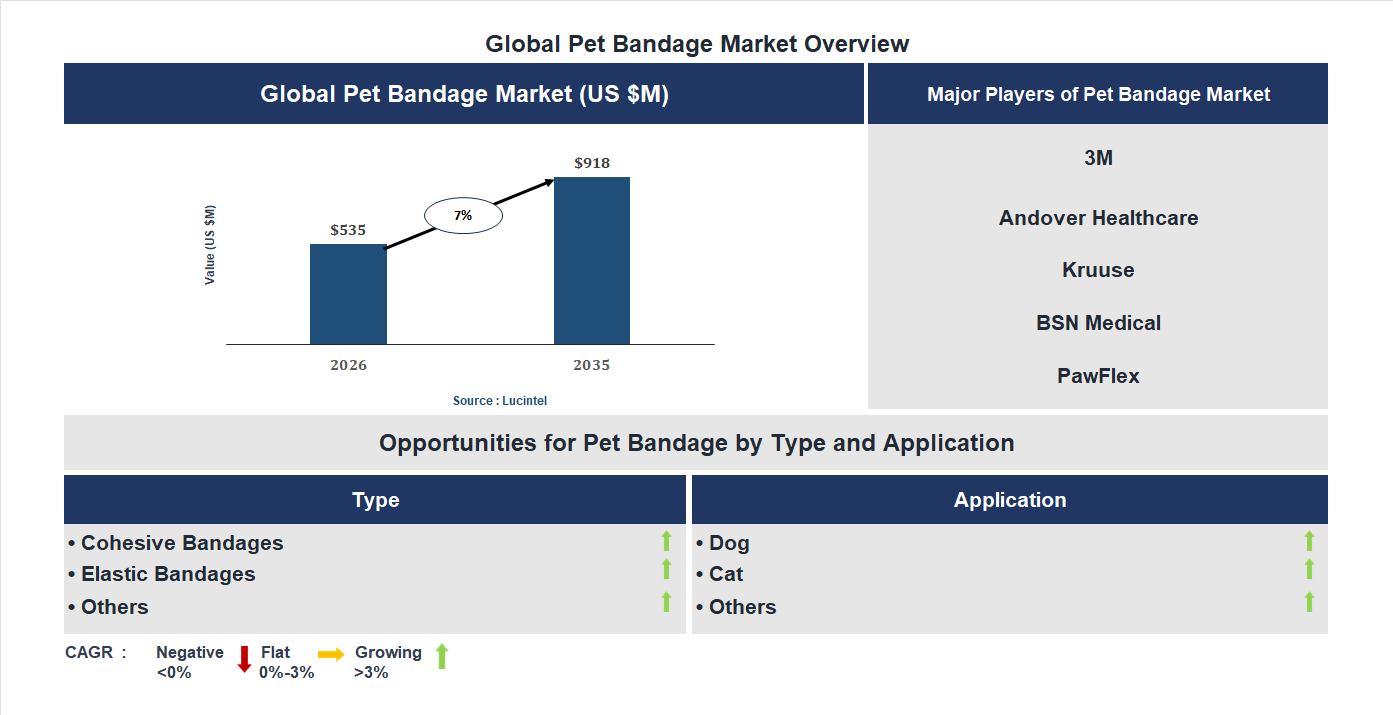Pet Bandage Market Trends and Forecast
