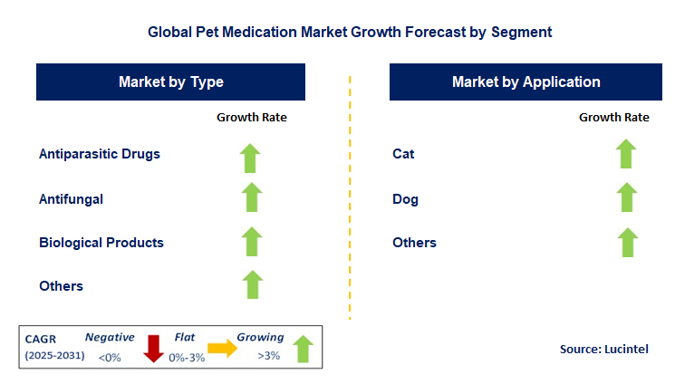 Pet Medication Market by Segment