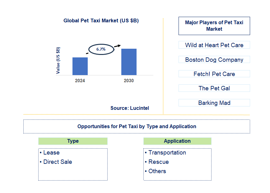 Pet Taxi Trends and Forecast