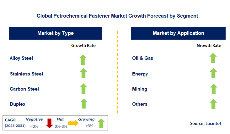 Petrochemical Fastener Market by Segment