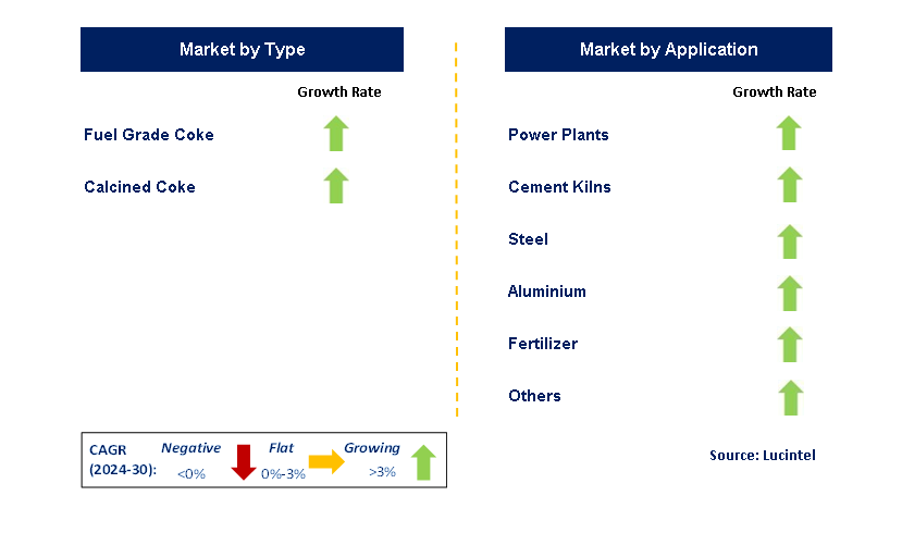 Petroleum Coke by Segment