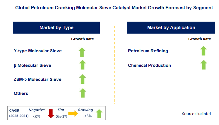 Petroleum Cracking Molecular Sieve Catalyst Market by Segment