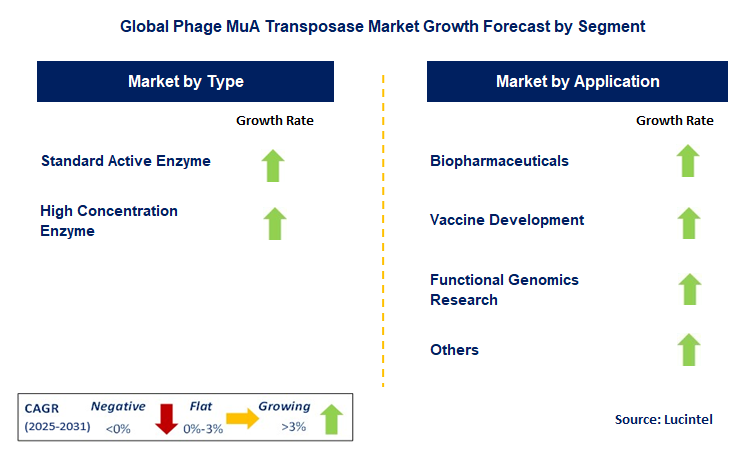 Phage MuA Transposase Market by Segment