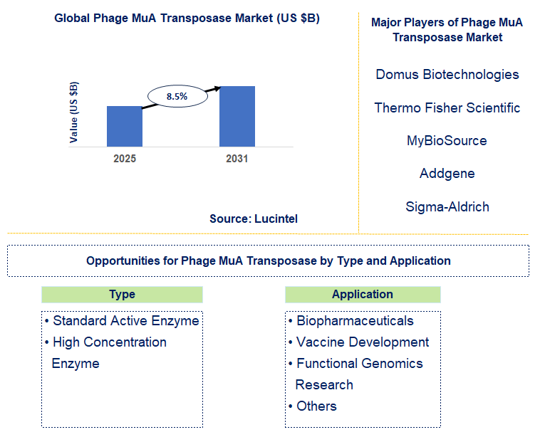 Phage MuA Transposase Market Trends and Forecast