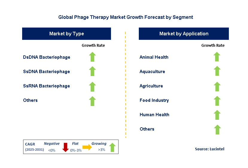 Phage Therapy Market by Segment