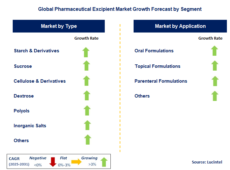 Pharmaceutical Excipient Market by Segment