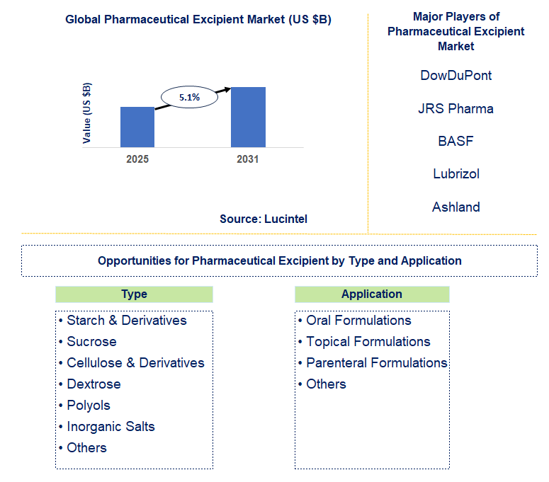 Pharmaceutical Excipient Market Trends and Forecast