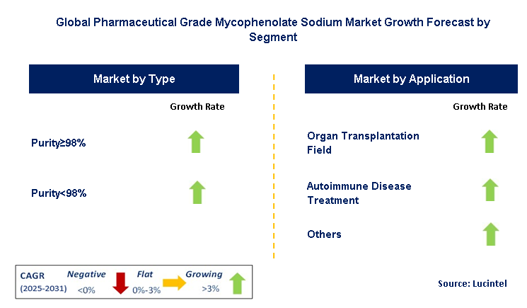 Pharmaceutical Grade Mycophenolate Sodium Market by Segment