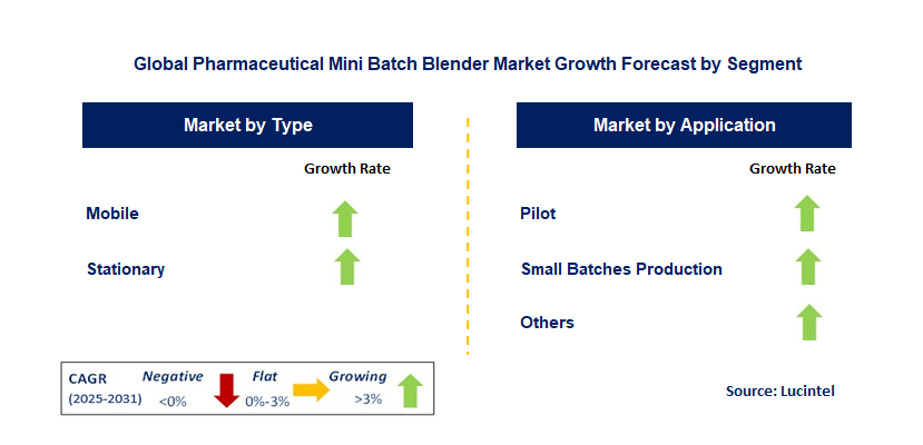 Pharmaceutical Mini Batch Blender Market by Segment