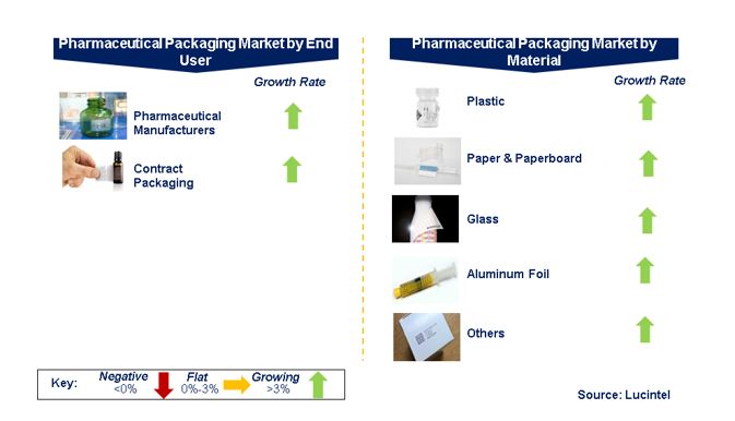 Pharmaceutical Packaging Market by Segments