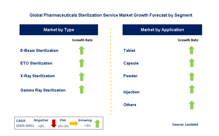 Pharmaceuticals Sterilization Service Market by Segment