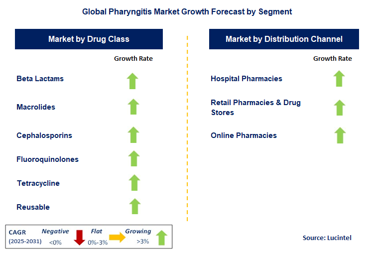 Pharyngitis Market by Segment