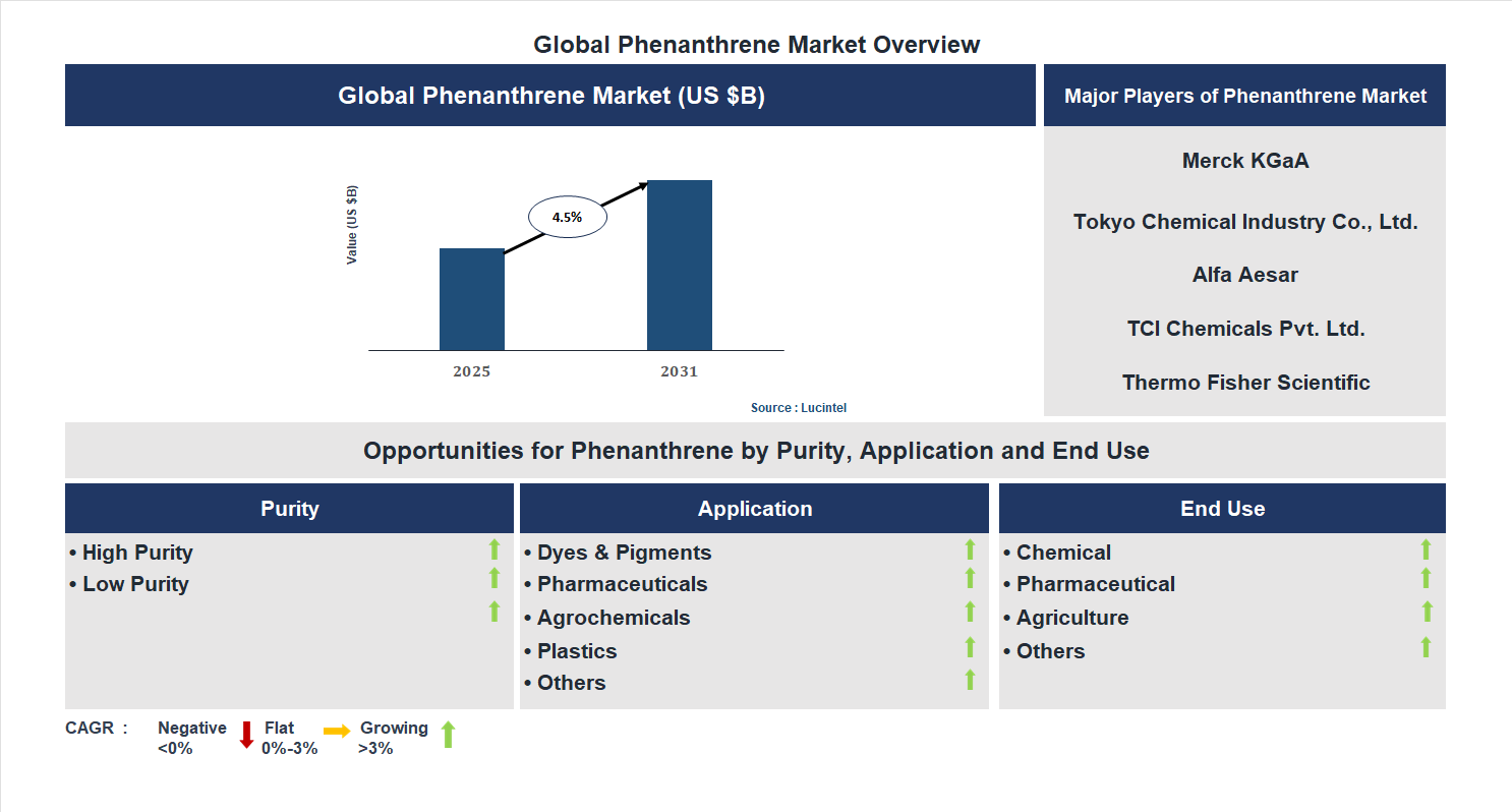 Phenanthrene Market Trends and Forecast