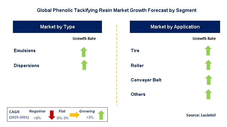 Phenolic Tackifying Resin Market by Segment