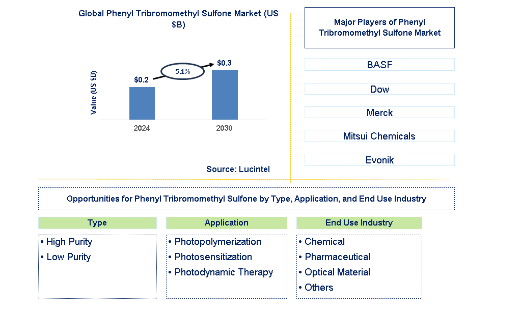 Phenyl Tribromomethyl Sulfone Trends and Forecast